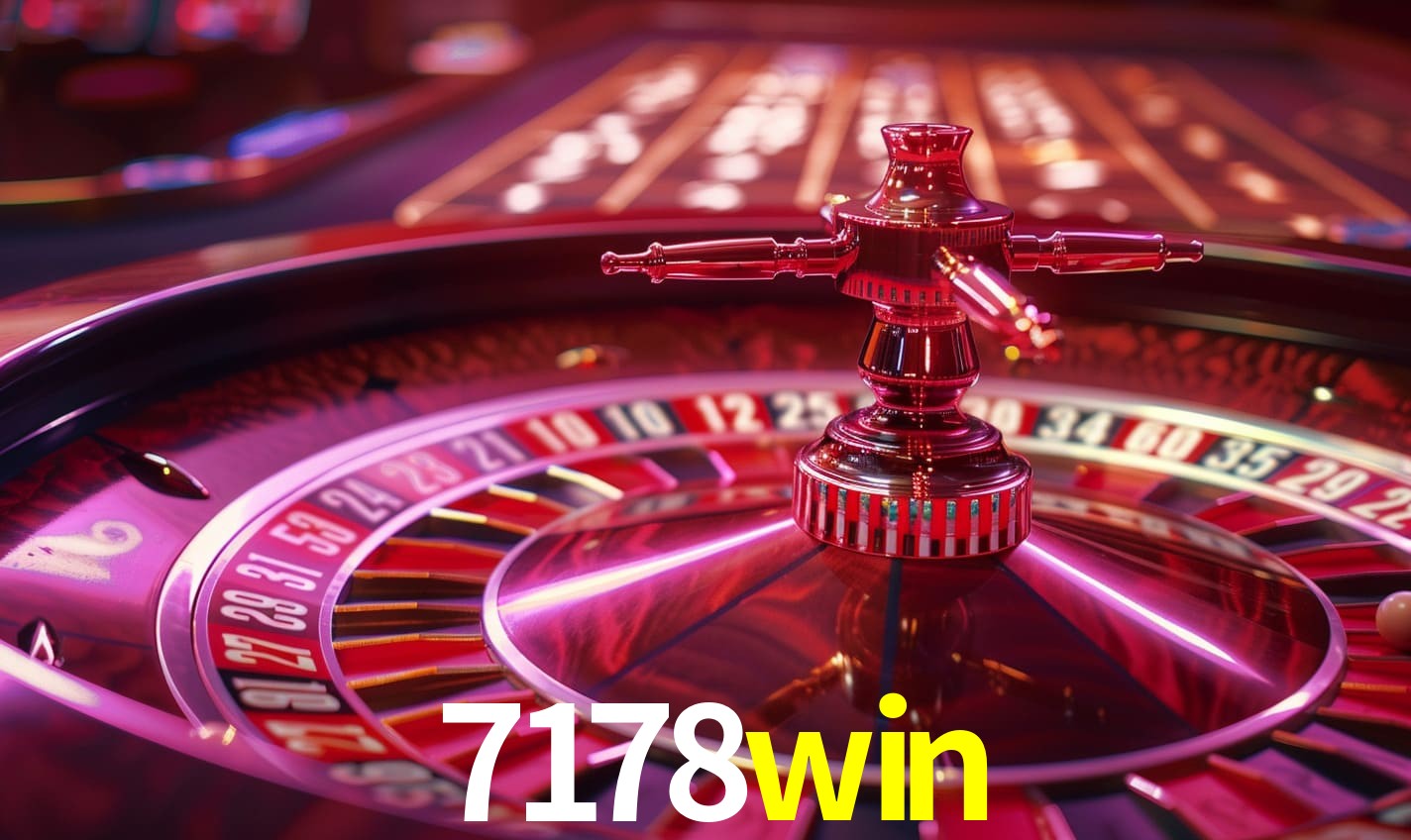 Programa VIP 7178win